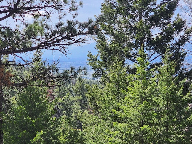 19063 Copper Ridge Trl, Florence, MT 59833