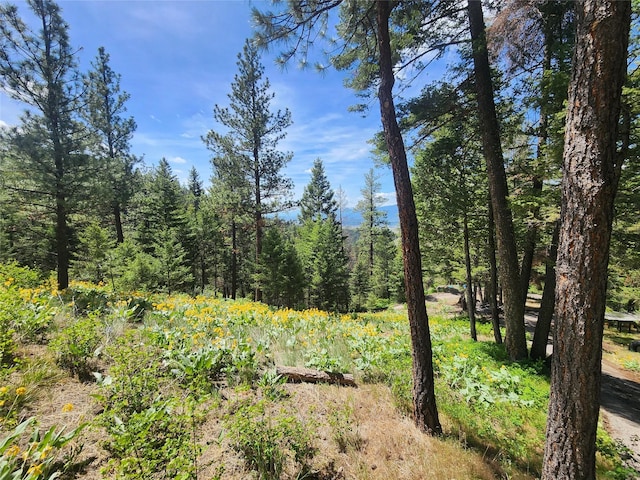 19063 Copper Ridge Trl, Florence, MT 59833