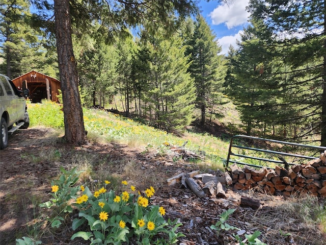 19063 Copper Ridge Trl, Florence, MT 59833