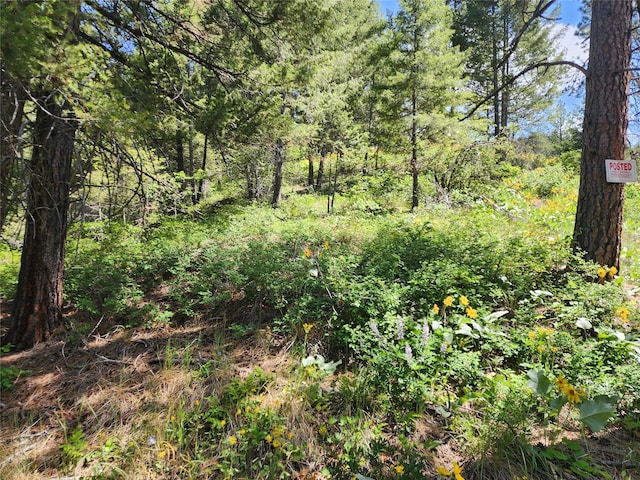 19063 Copper Ridge Trl, Florence, MT 59833