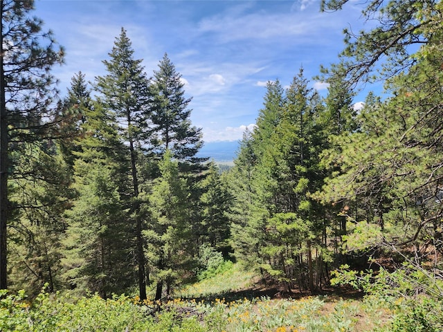 19063 Copper Ridge Trl, Florence, MT 59833