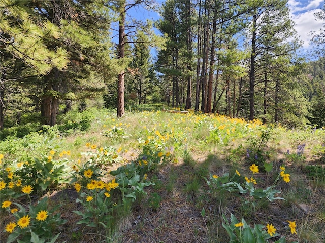 19063 Copper Ridge Trl, Florence, MT 59833
