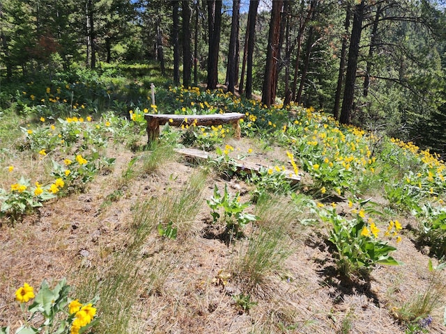 19063 Copper Ridge Trl, Florence, MT 59833
