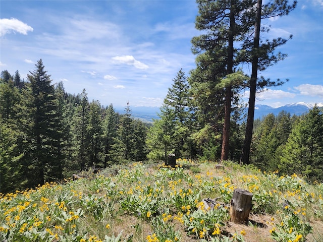 19063 Copper Ridge Trl, Florence, MT 59833