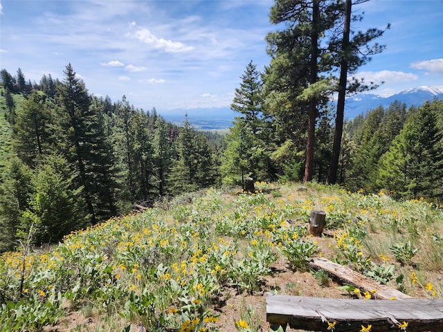 19063 Copper Ridge Trl, Florence, MT 59833