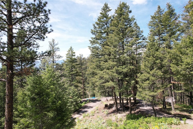 19063 Copper Ridge Trl, Florence, MT 59833