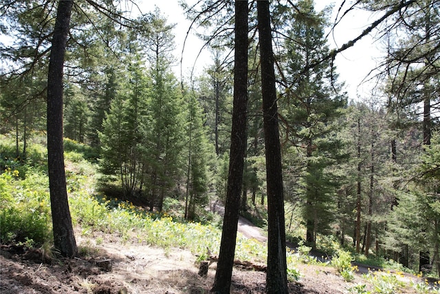 19063 Copper Ridge Trl, Florence, MT 59833