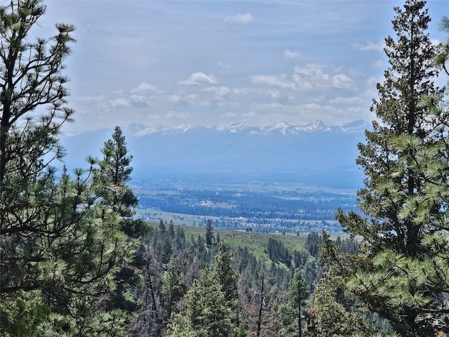19063 Copper Ridge Trl, Florence, MT 59833