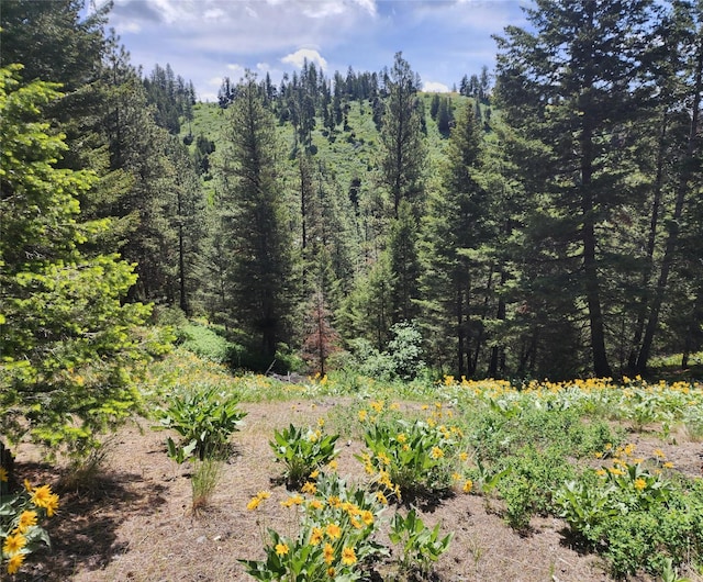 19063 Copper Ridge Trl, Florence, MT 59833