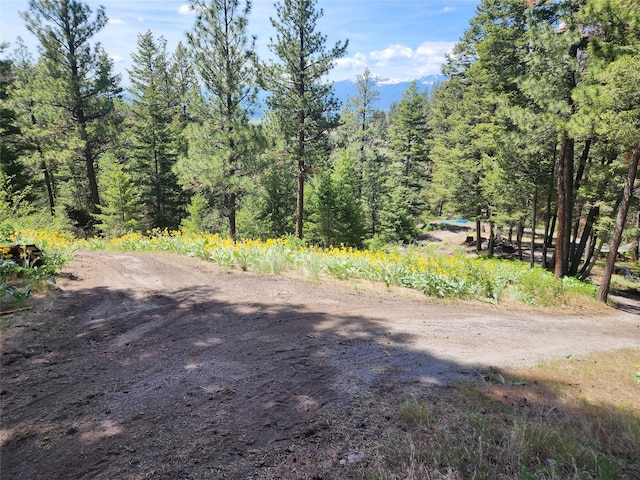 19063 Copper Ridge Trl, Florence, MT 59833