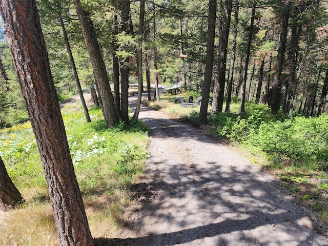19063 Copper Ridge Trl, Florence, MT 59833