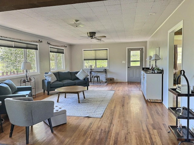 109 Edwards Gulch Rd, Drummond, MT 59832 - living room with hardwood / wood-style floors and a ceiling fan