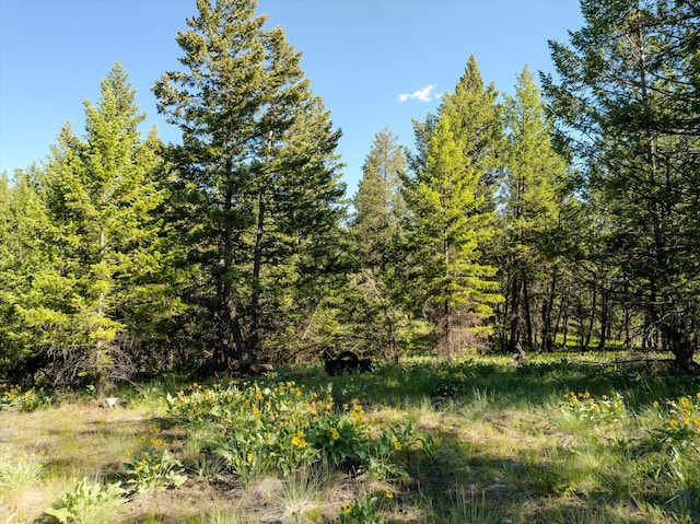 747 Grand View Dr, Rexford, MT 59930