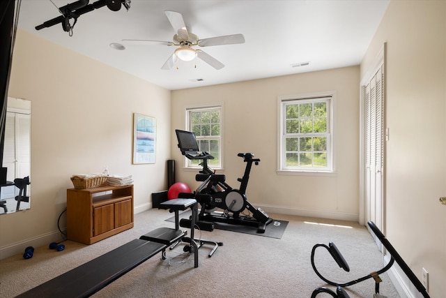 1 Reeders Village Dr, Helena, MT 59601 - workout room with carpet, a ceiling fan, and baseboards