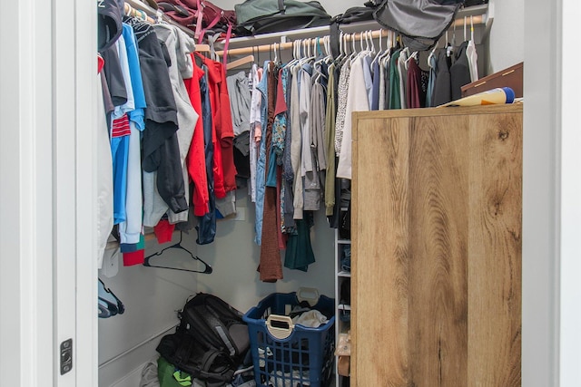 259 Meadow View Loop, East Helena, MT 59635 - view of spacious closet