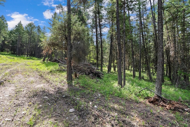 433 Buffalo Trl, Somers, MT 59932
