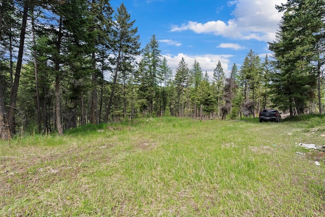 433 Buffalo Trl, Somers, MT 59932