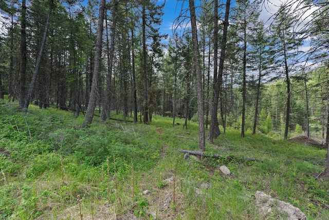 433 Buffalo Trl, Somers, MT 59932