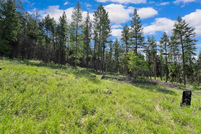 437 Buffalo Trl, Somers, MT 59932
