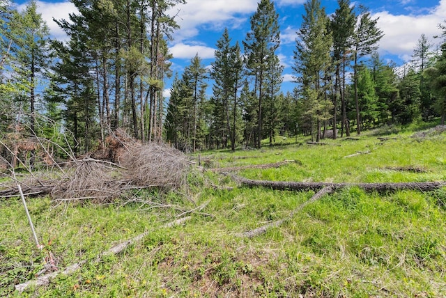 437 Buffalo Trl, Somers, MT 59932