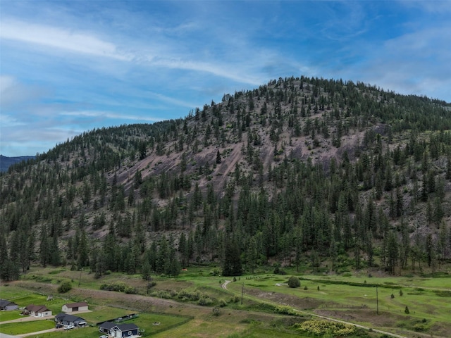 122 Bernie Rd, Alberton, MT 59820 - view of mountain background featuring a forest