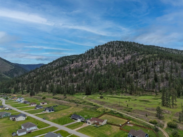 122 Bernie Rd, Alberton, MT 59820 - view of mountain background featuring a heavily wooded area