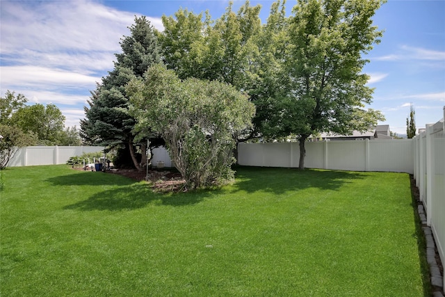 3717 Aster St, East Helena, MT 59635 - view of yard