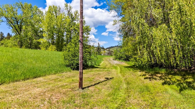 1160 US Highway 12 E, Townsend, MT 59644 - view of local wilderness