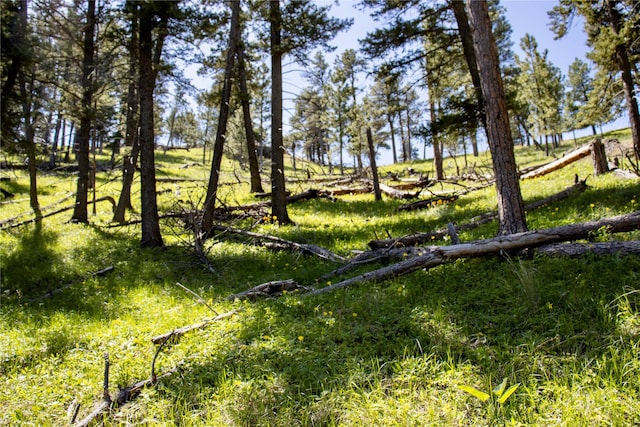TBD Novak Creek Ln, Cascade, MT 59421