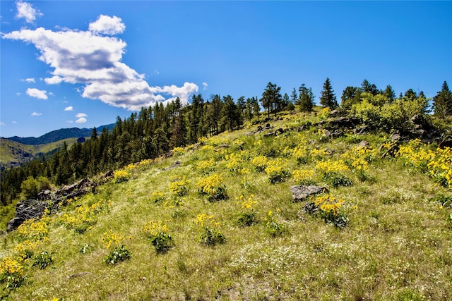 TBD Novak Creek Ln, Cascade, MT 59421