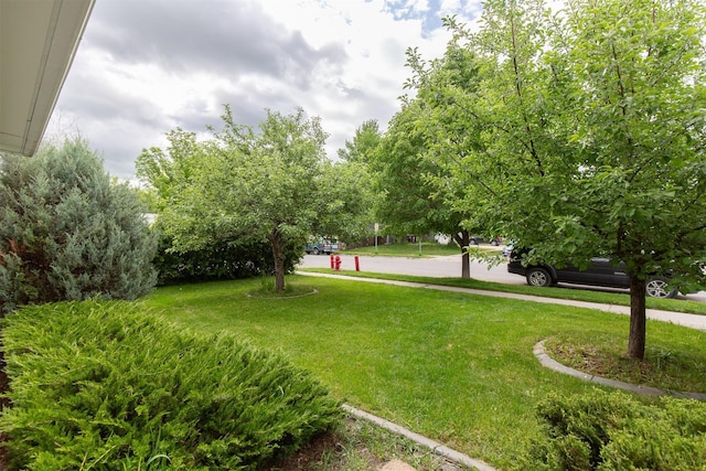 3401 Ravalli St, Bozeman, MT 59718 - view of grassy yard