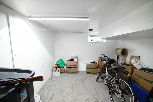 17 9th St NW, Great Falls, MT 59404 - basement with carpet flooring