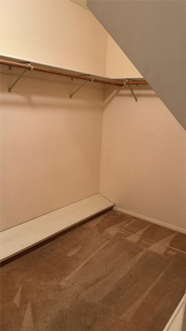 10 Pine Ridge Cir, Clancy, MT 59634 - walk in closet with carpet floors