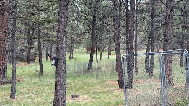 10 Pine Ridge Cir, Clancy, MT 59634 - view of yard with a forest view