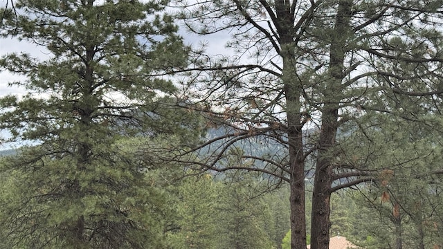 10 Pine Ridge Cir, Clancy, MT 59634 - view of wooded area