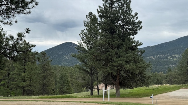 10 Pine Ridge Cir, Clancy, MT 59634 - mountain view with a forest