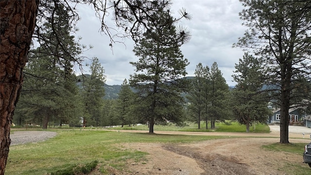 10 Pine Ridge Cir, Clancy, MT 59634 - view of property's community featuring a yard