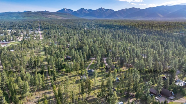 165 Lynx Ct, Seeley Lake, MT 59868 - view of mountain backdrop with a forest