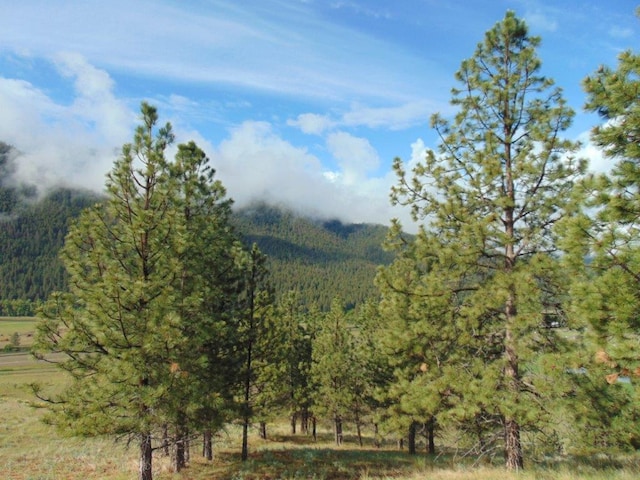 27235 Lazy Springs Rd, Clinton, MT 59825