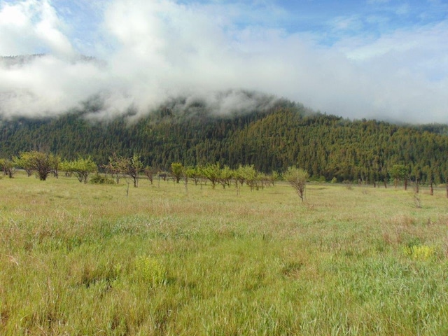 27235 Lazy Springs Rd, Clinton, MT 59825