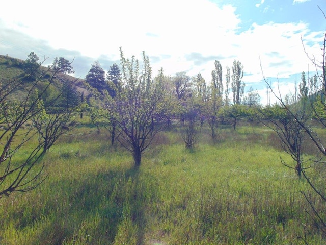 27235 Lazy Springs Rd, Clinton, MT 59825