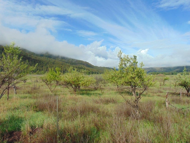 27235 Lazy Springs Rd, Clinton, MT 59825