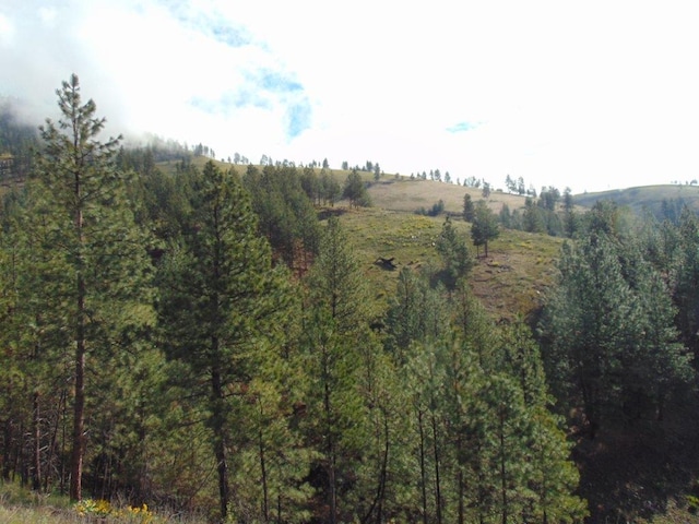 27235 Lazy Springs Rd, Clinton, MT 59825
