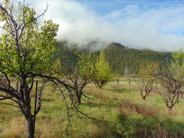 27235 Lazy Springs Rd, Clinton, MT 59825