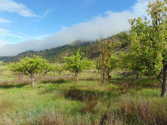 27235 Lazy Springs Rd, Clinton, MT 59825