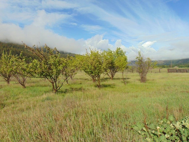 27235 Lazy Springs Rd, Clinton, MT 59825