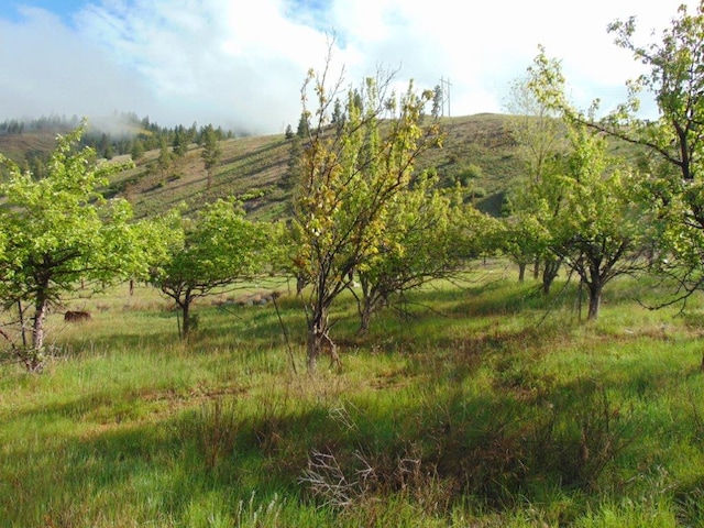 27235 Lazy Springs Rd, Clinton, MT 59825