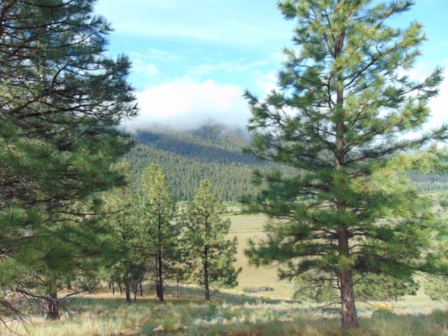 27235 Lazy Springs Rd, Clinton, MT 59825