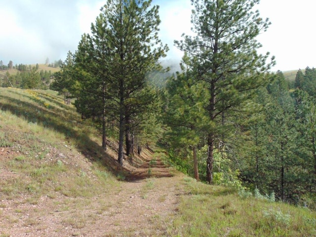 27235 Lazy Springs Rd, Clinton, MT 59825