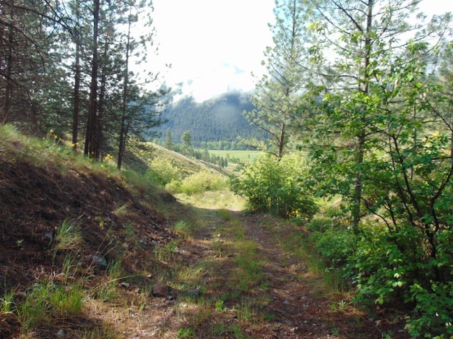 27235 Lazy Springs Rd, Clinton, MT 59825